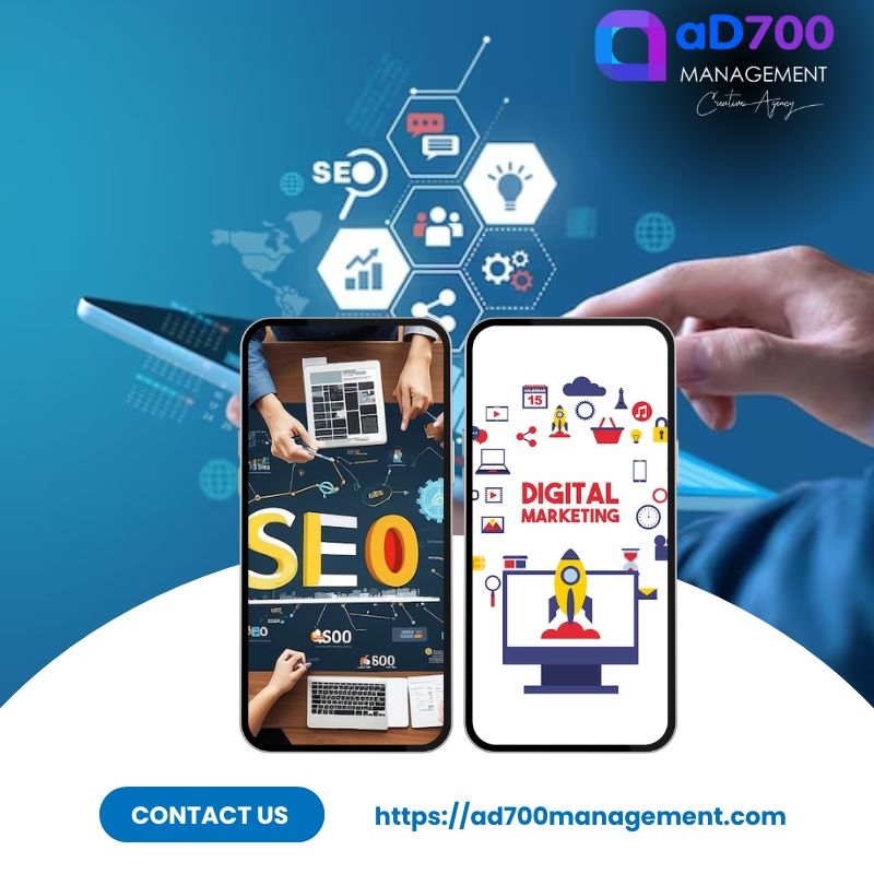 Agencia Seo Andorra - Ad700Management